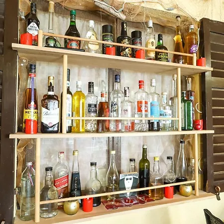 Apartment Pool Julia Zadar